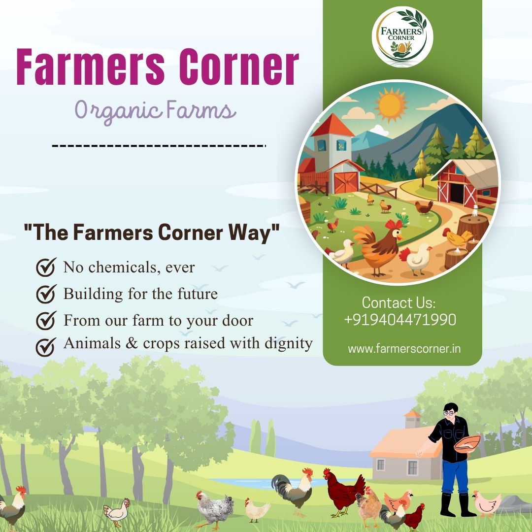 The Farmers Corner farm — organic, free-range, raised right